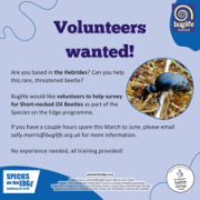 SNOB volunteers wanted poster: SNOB volunteers wanted poster