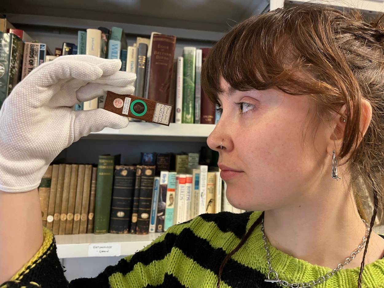 Microscope slides: Lizzie Gothorp, Leeds Museums and Galleries’ project placement with the microscope slide containing a crumb of ancient Egyptian bread that was found in a mummy’s tomb in Thebes.