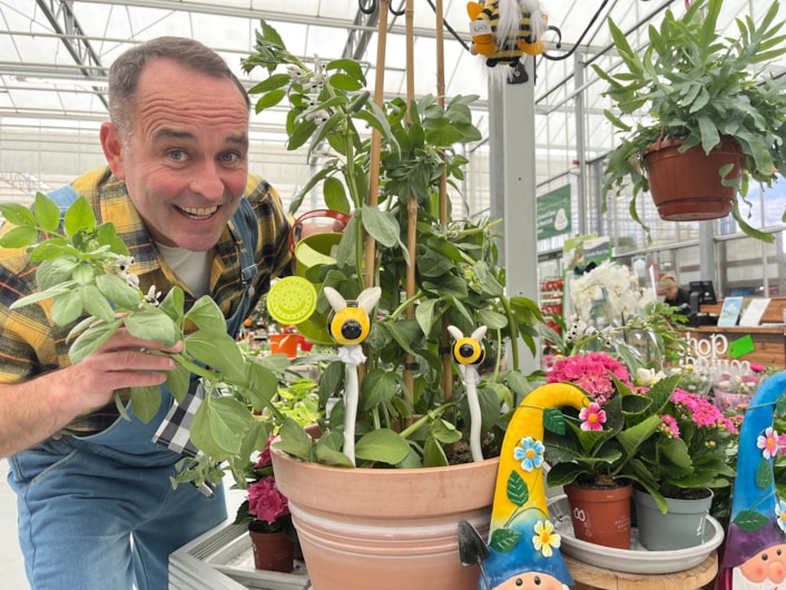 The grow must go on as theatre launches magic beanstalk contest: image00014-2
