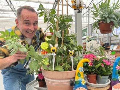 The grow must go on as theatre launches magic beanstalk contest