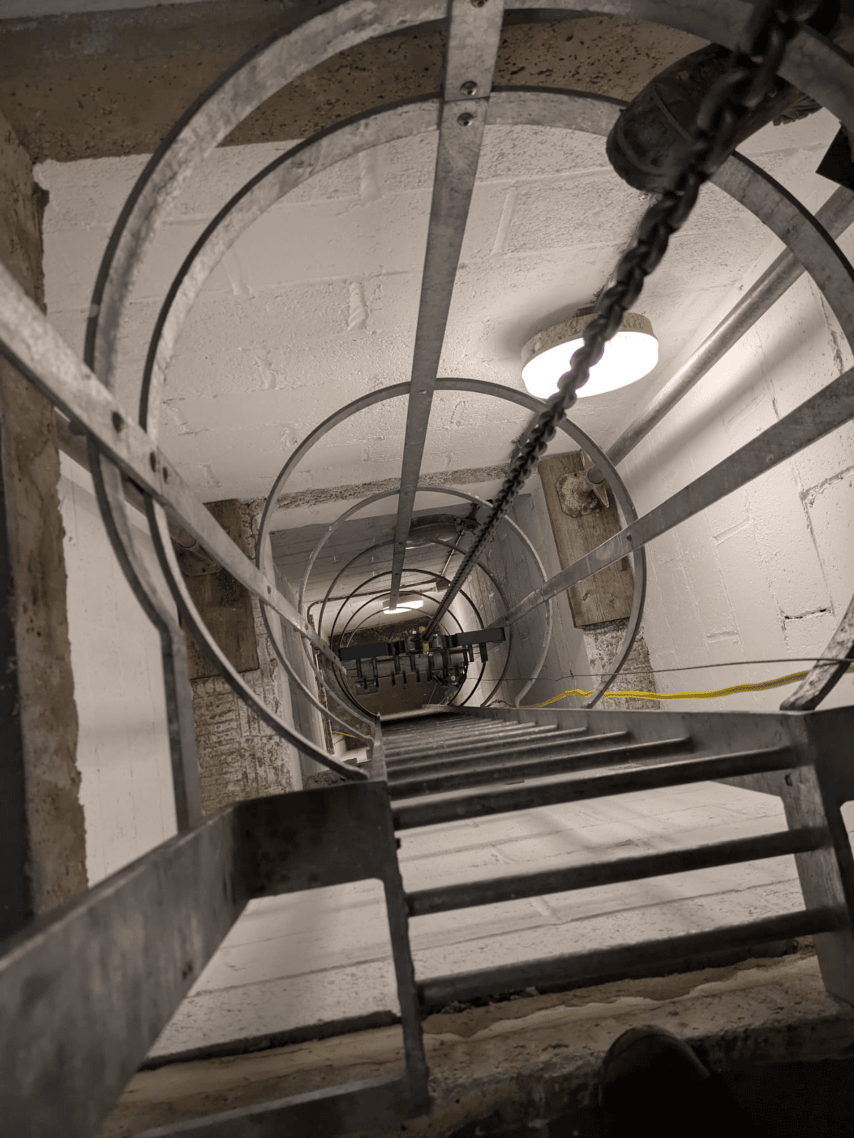 Guildhall Citigen Zoe Abela