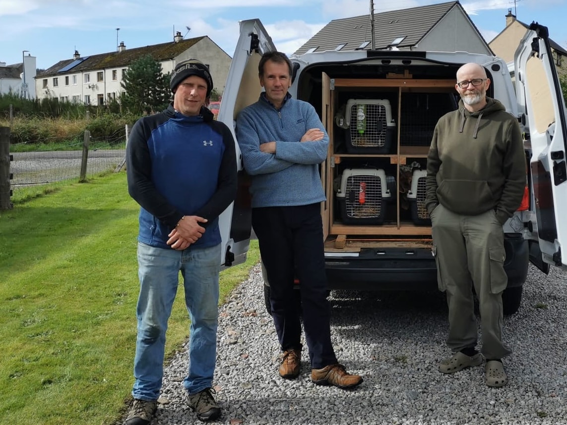 Pine martens prepared for translocation, Sept 2024 
(from left to right, John Hincks, Mic Mayhew and Jon Beardsley)
CREDIT: Mic Mayhew