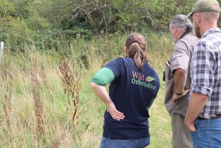 Wild Oxfordshire reptile survey 2