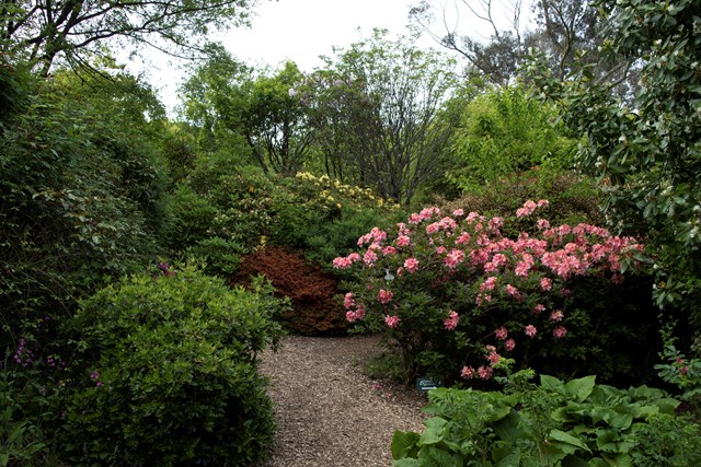 HES - Glenwhan Gardens, garden path from east