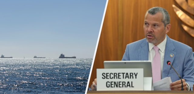 SG Statement Hormuz medium