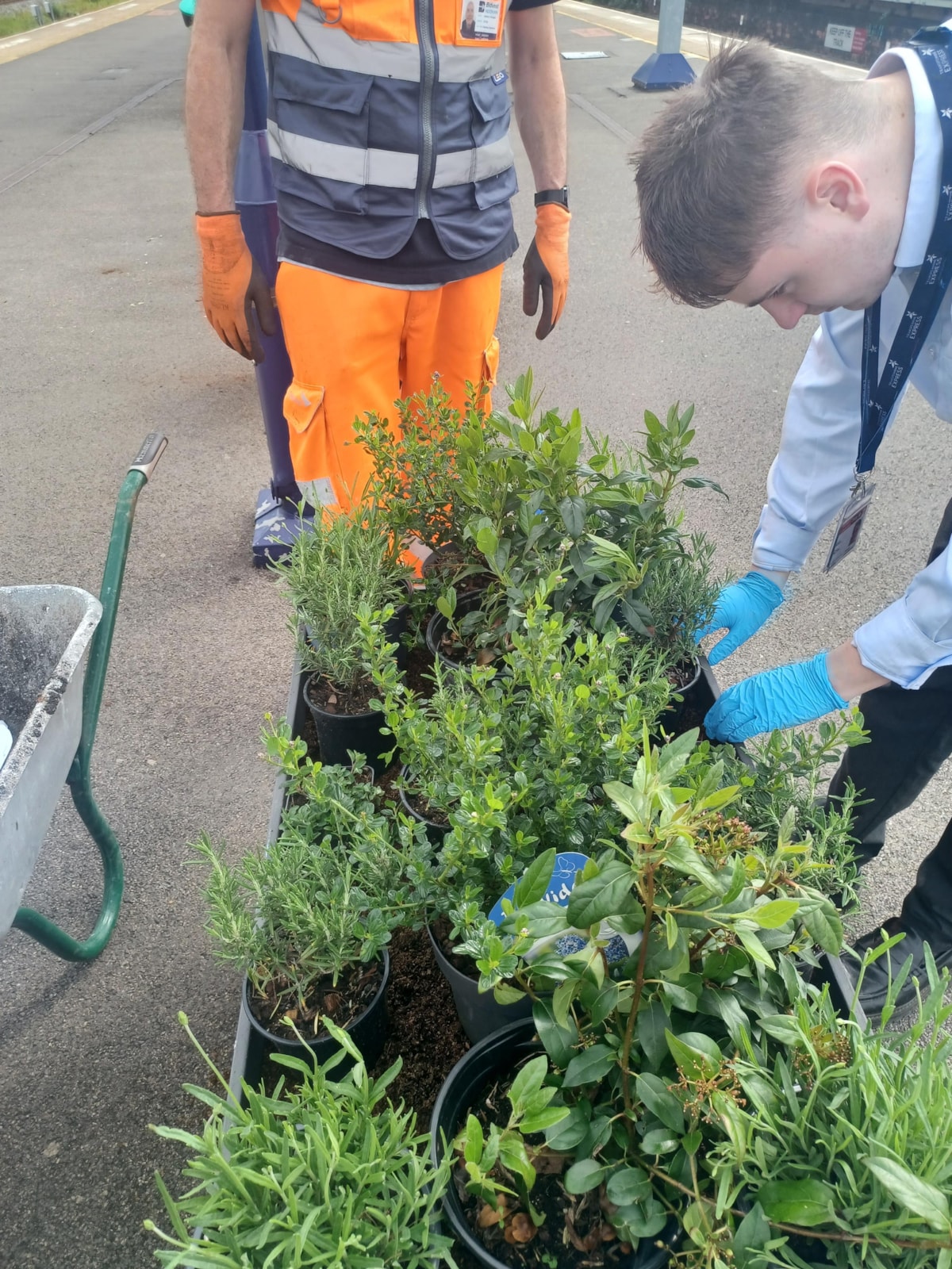 New planters installed at TPE stations  (2)