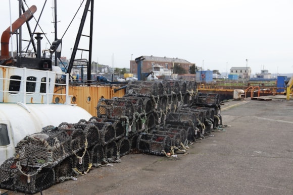 New study to shine a light on value of Welsh fishing industry: Pots stacked at  the harbour in Milford Haven, Wales