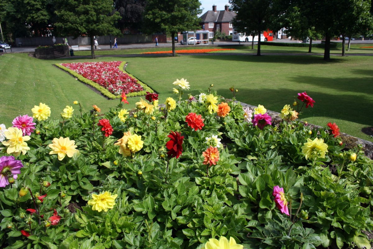 14466783048 48df1fb87e o (002)