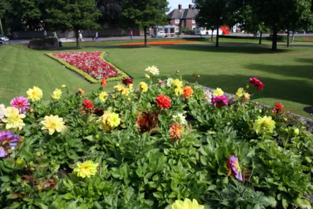 14466783048 48df1fb87e o (002)