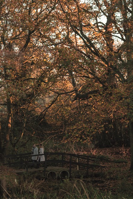 Gunton Hall Grounds