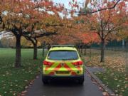 Autumn Ambulance: Autumn Ambulance
