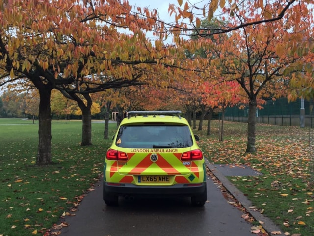 Autumn Ambulance