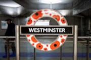 TfL Image - Westminster Poppy: TfL Image - Westminster Poppy