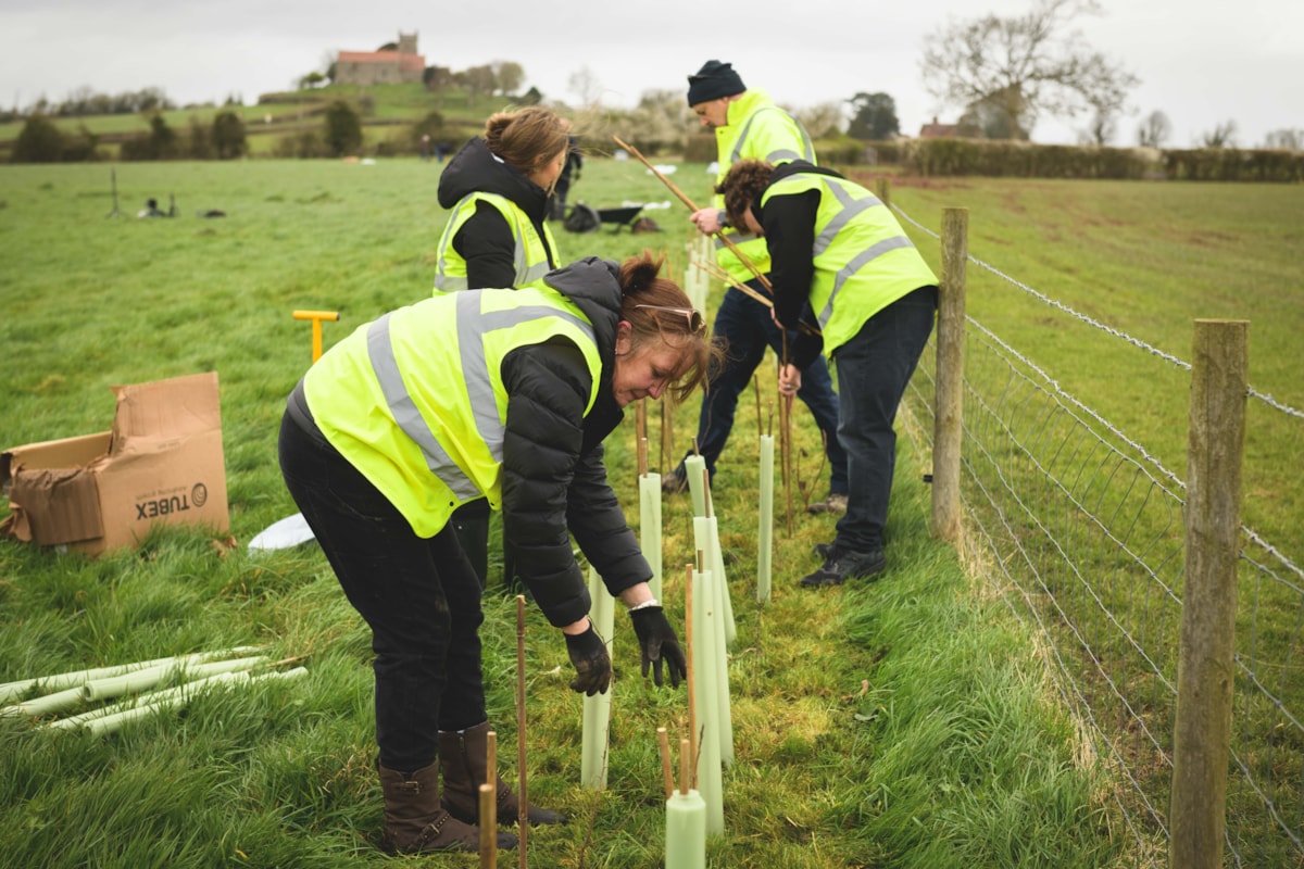 First Bus drivers planting hedgerows @JonCraig Photos