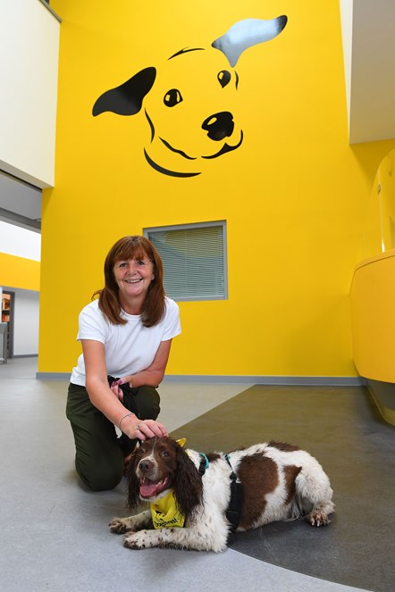 Dogs Trust 2