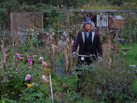 Bulmershe allotments, with scarecrow