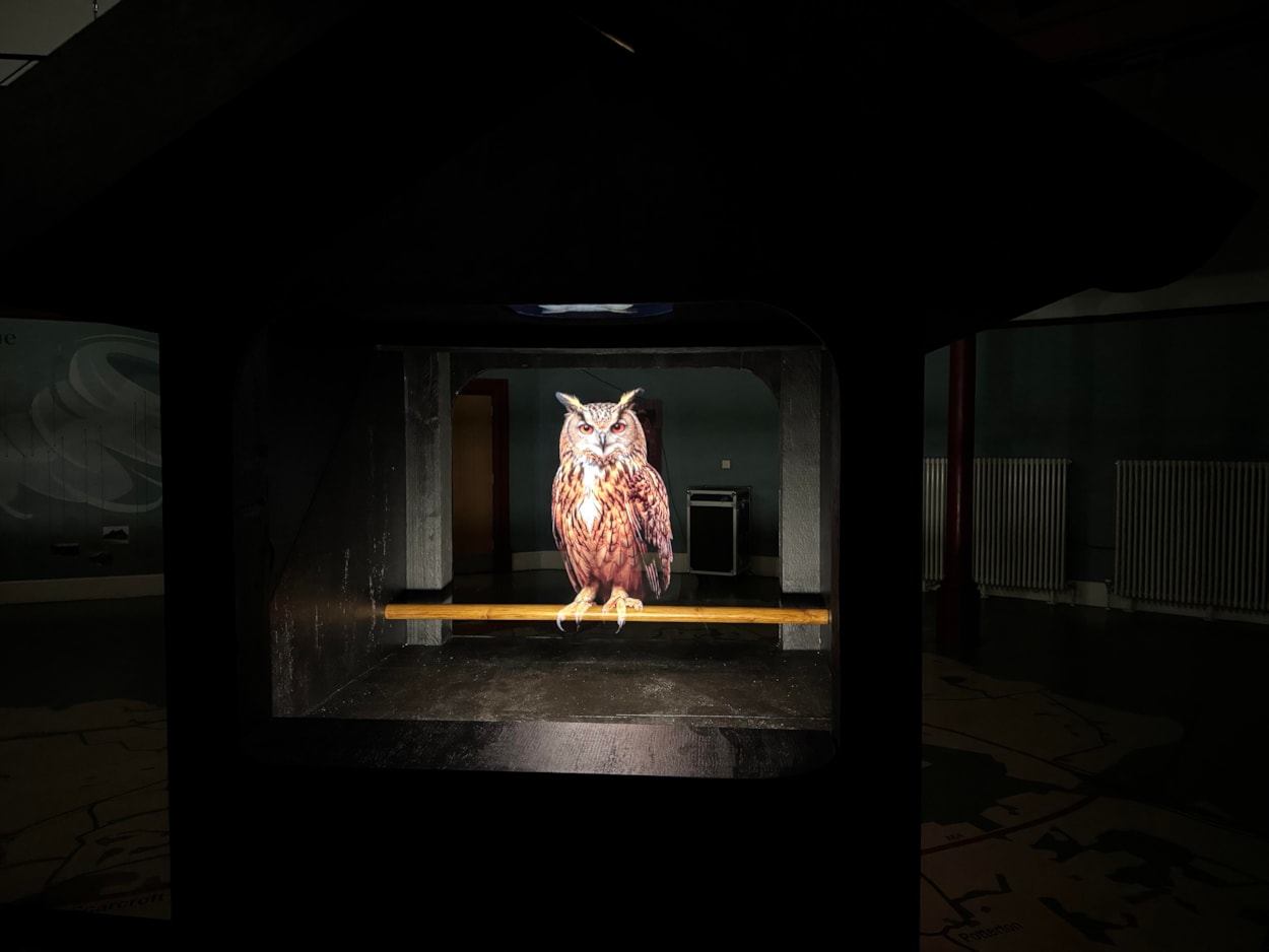 Bird Song (Owls) - Lou Chapelle-2: The piece at Leeds City Museum sees three magnificent European eagle owls brought to life as glowing holograms within sculptural birdhouses.
