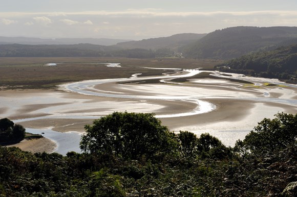 The River Add and Moine Mhor NNR near Kilmartin  ©Lorne Gill SNH