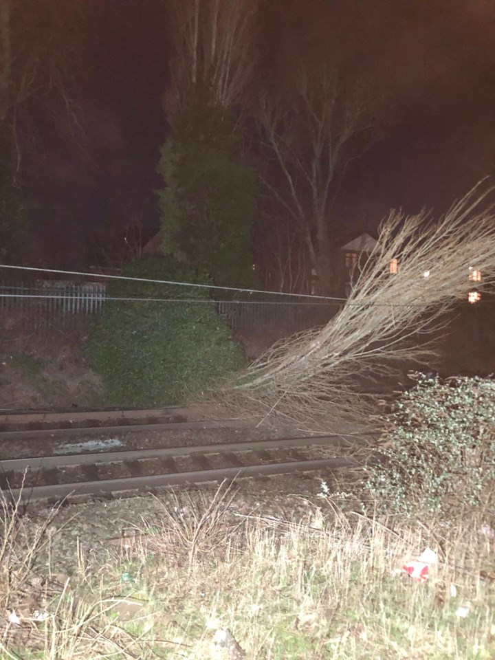 Storm Eunice: Passengers advised not to travel in the East Midlands: Tree fallen on overhead electric wires at St Albans