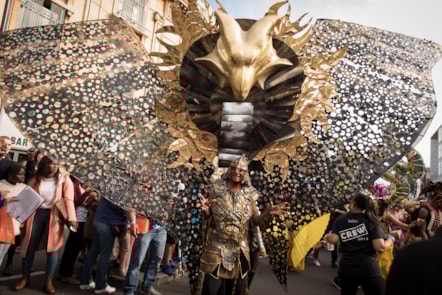 carnival9.jpg