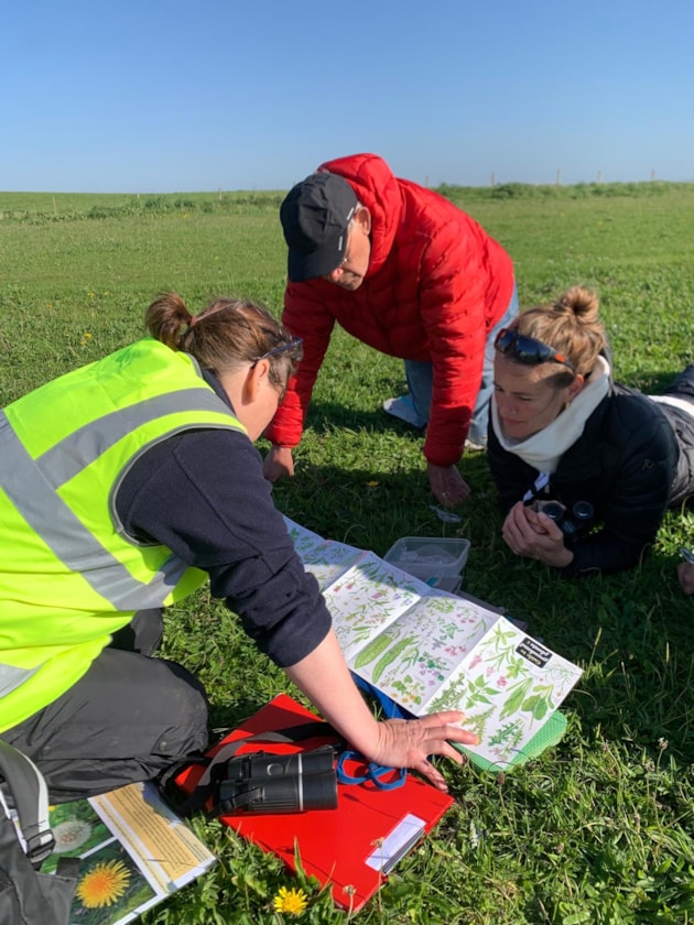 Orkney nature festival © Eilidh Ross/Species on the Edge.
