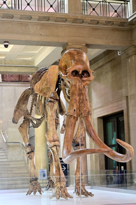 WNS 240325 3D Printed Mammoth 048