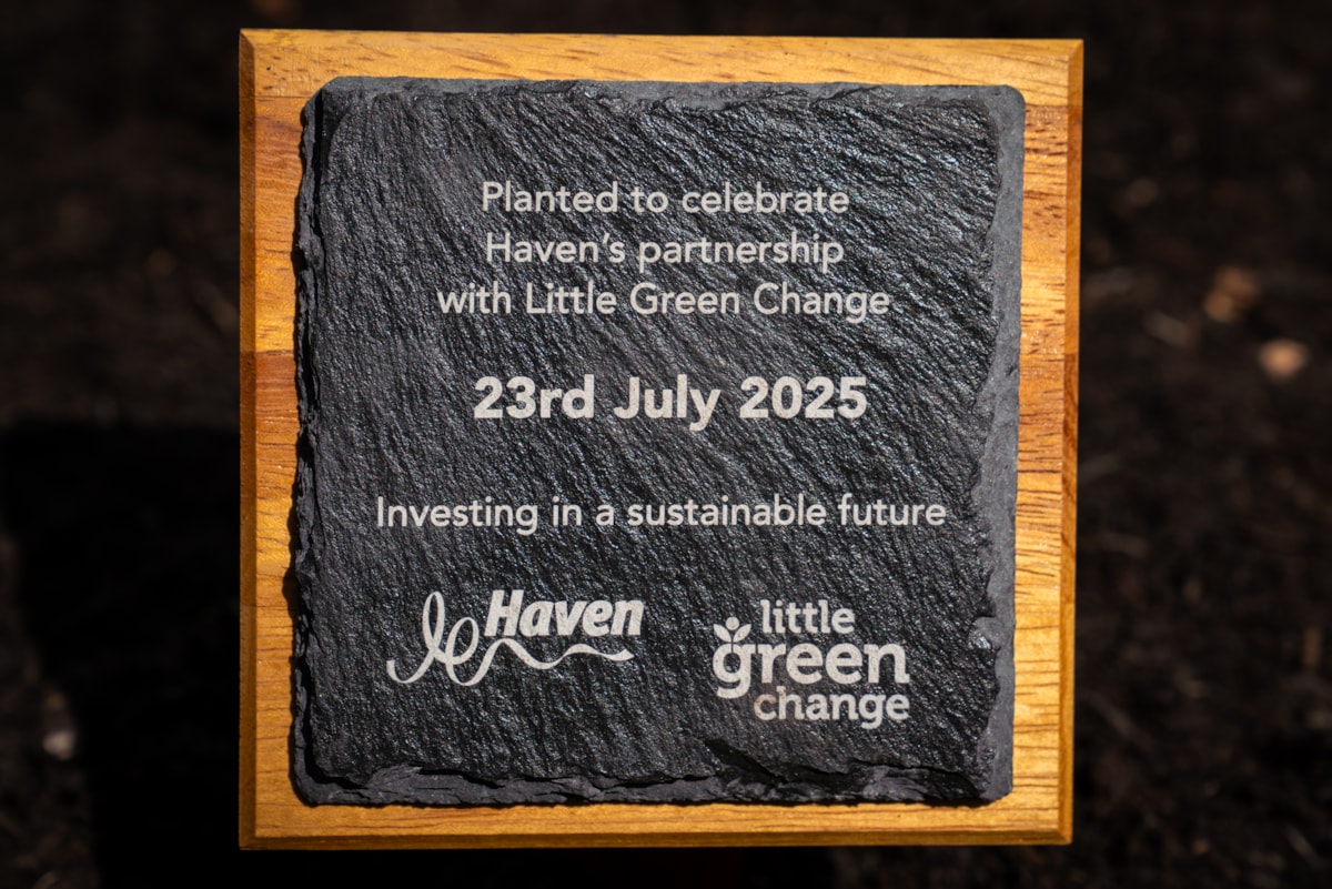Haven x Little Green Change tree planting at Devon Cliffs
