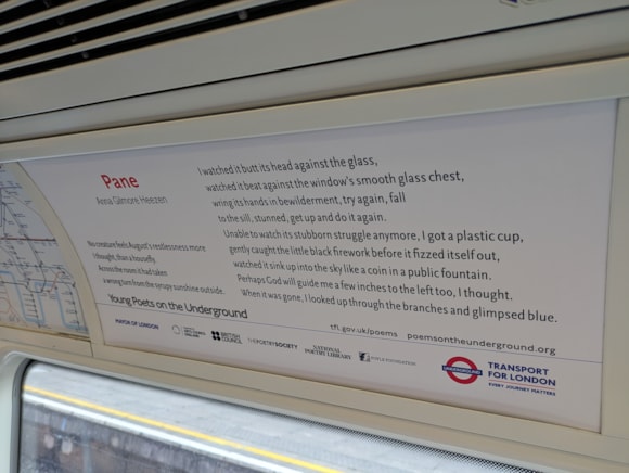 International Poets join TfL staff to launch summer poems at Covent Garden station: TfL Image - Poems on the Underground - Anna Gilmore Heezen