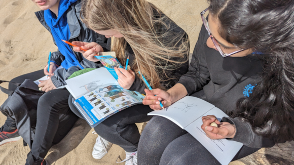 New exhibition by local charity aiming to inspire climate action opens at the museum: PR Gloo image for press releases