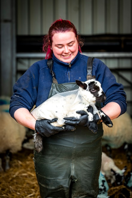 Assistant Stockperson Carly Hood fits a 'raincoat' on a lamb at the National Museum of Rural Life. Photo © Andy Catlin (4)
