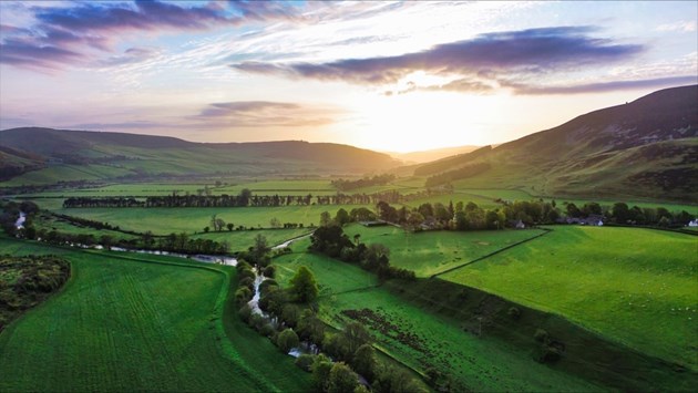 Projects share £4m to help nature recover: Tweed Meadows - Merlindale Nature credit Alexander Lintott