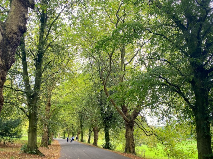 Leeds parks continue to be recognised as some of the best in the country: Roundhay Park - Visit Leeds