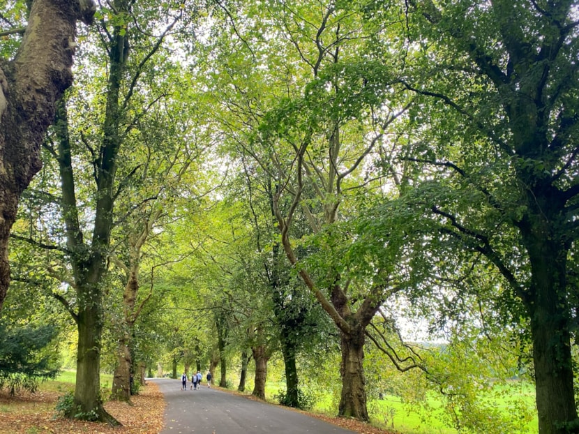 Leeds parks continue to be recognised as some of the best in the country: Roundhay Park - Visit Leeds
