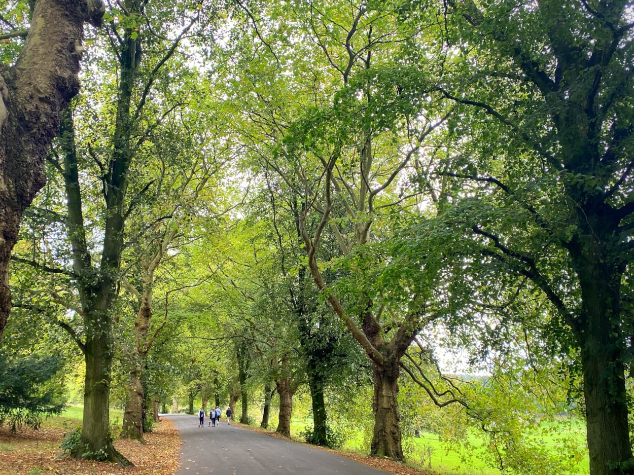 Roundhay Park - Visit Leeds: Roundhay Park.
Credit: Visit Leeds