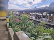 TfL Image -Acton town: TfL Image -Acton town