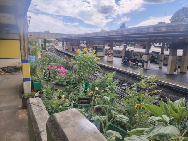 TfL Image -Acton town