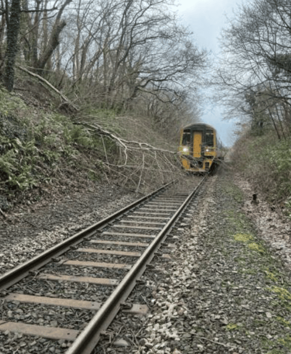 Storm Goretti - tree down Machynlleth to Aberystwyth