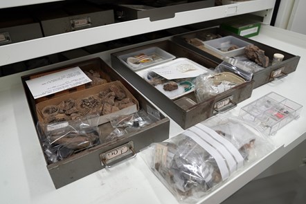 Conserved material from the Eocene birds collection at National Museums Scotland. Photo © Stewart Attwood