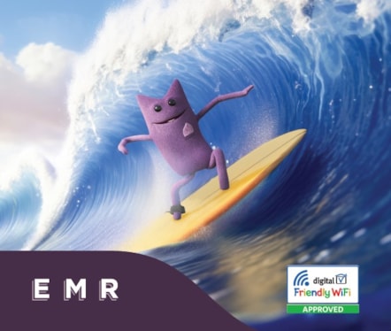 Surf the web EMR 