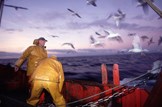 Views sought on fishing controls: Marine-fisheries-fishing-boat-fishermen