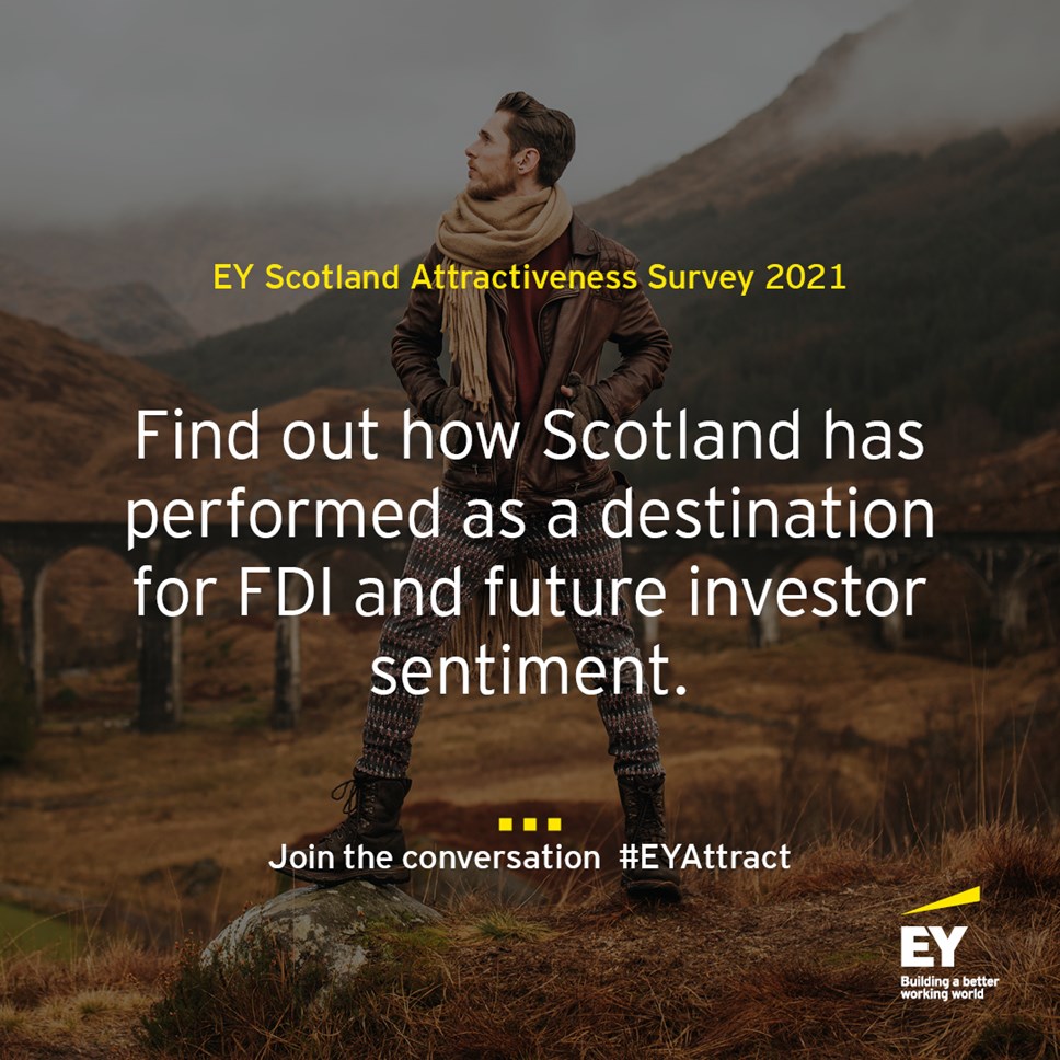 EY Attractiveness Survey Image