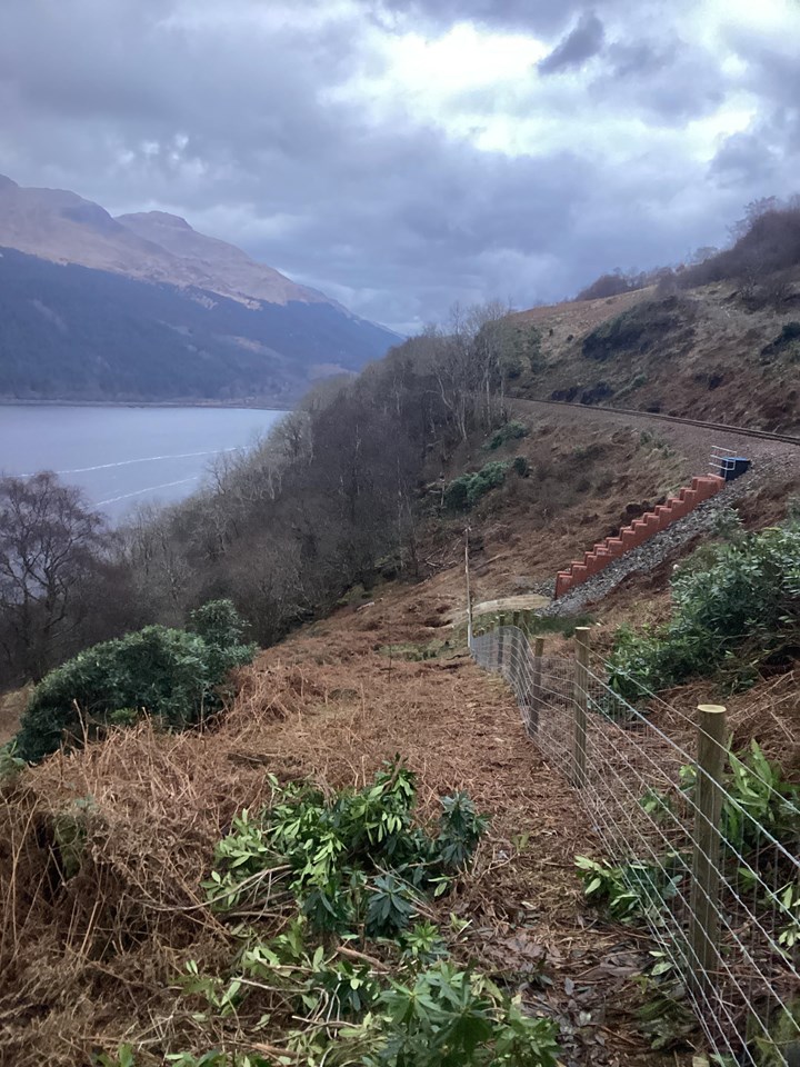 Railway fencing boost for West Highland Line: IMG 3881