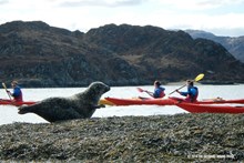 Seal and Kayakers: Please credit The Outward Bound Trust. For one-off use only.