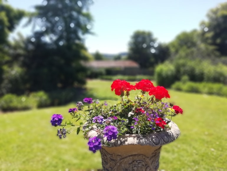 Proposed new forum for Friends of Parks groups