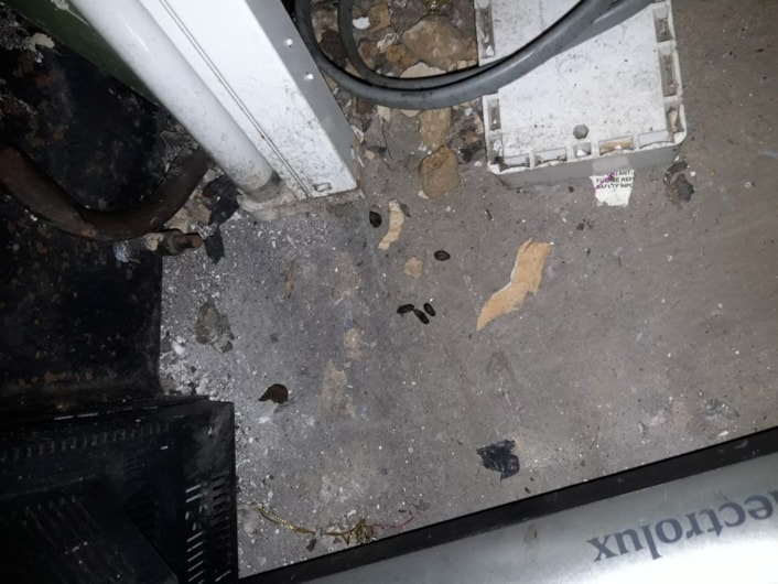 Emma's Sandwich 1: Images shows rat droppings on a surface in the shop.