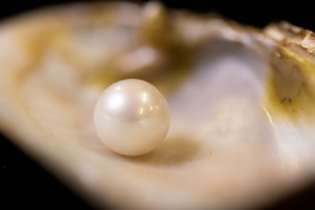 The Abernethy Pearl. Image copyright Duncan McGlynn (3)