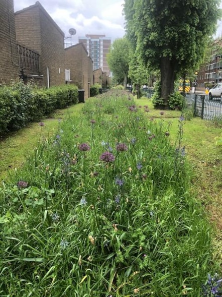 Hackney Estates go Glyphosate free