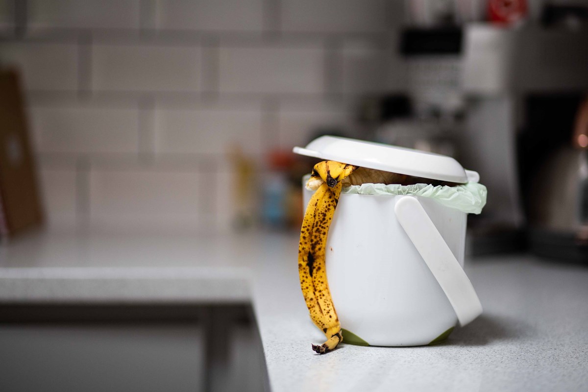 In Wales, all cooked and uncooked food including fruit and veg peelings, coffee grounds and plate scrapings are placed into kitchen caddies