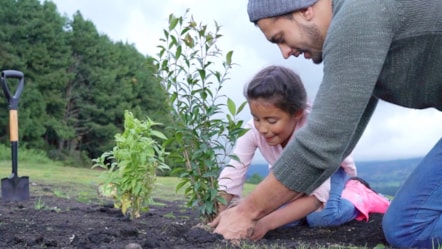child and adult planting