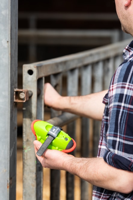 The Moocall wearable health sensor. Image © Moocall (6)